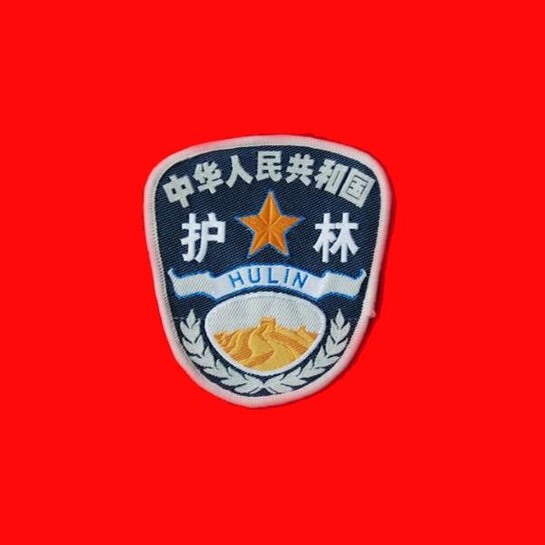 林政4